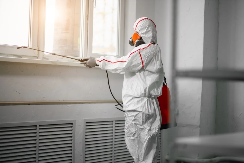 Professional mold remediation services in Midlothian, IL